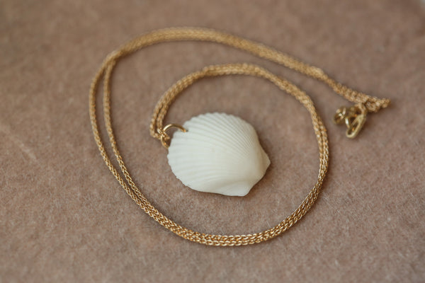 Scallop Seashell Pendant